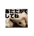 モモンガスタンプver.2（個別スタンプ：6）