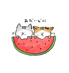 たびすけ＆みっけ3（個別スタンプ：12）