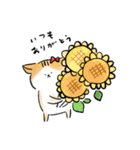 たびすけ＆みっけ3（個別スタンプ：13）