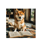 柴犬の日常2（個別スタンプ：13）