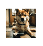 柴犬の日常2（個別スタンプ：15）