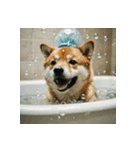 柴犬の日常2（個別スタンプ：16）