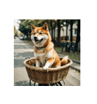 柴犬の日常2（個別スタンプ：18）