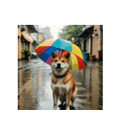 柴犬の日常2（個別スタンプ：25）