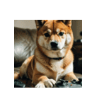 柴犬の日常2（個別スタンプ：28）