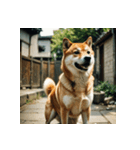柴犬の日常2（個別スタンプ：30）