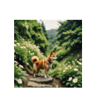 柴犬の日常2（個別スタンプ：35）