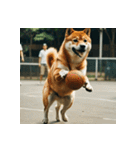 柴犬の日常2（個別スタンプ：36）