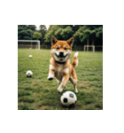 柴犬の日常2（個別スタンプ：37）