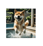 柴犬の日常2（個別スタンプ：38）