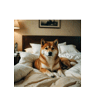 柴犬の日常2（個別スタンプ：39）