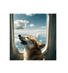 柴犬の日常2（個別スタンプ：40）
