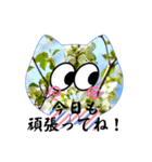 Flowers にゃんず（個別スタンプ：5）