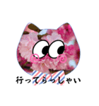 Flowers にゃんず（個別スタンプ：6）