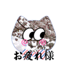 Flowers にゃんず（個別スタンプ：7）