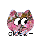 Flowers にゃんず（個別スタンプ：9）