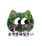 Flowers にゃんず（個別スタンプ：18）