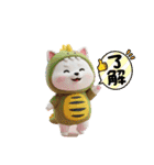 着ぐるみシリーズ豆柴白チビです。（個別スタンプ：11）