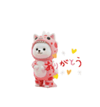 着ぐるみシリーズ豆柴白チビです。（個別スタンプ：14）