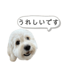 はるのつむじ その6（個別スタンプ：10）