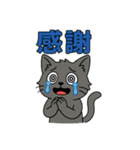 猫のアニキは使いやすい（個別スタンプ：11）