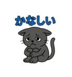 猫のアニキは使いやすい（個別スタンプ：13）