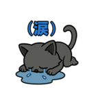 猫のアニキは使いやすい（個別スタンプ：14）