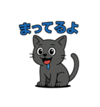 猫のアニキは使いやすい（個別スタンプ：17）