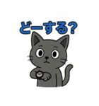 猫のアニキは使いやすい（個別スタンプ：22）