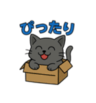 猫のアニキは使いやすい（個別スタンプ：29）