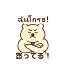クマ田さん☆癒しと元気の出るスタンプ（個別スタンプ：3）