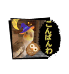 おかめインコ元気君★日常（個別スタンプ：5）