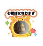 おかめインコ元気君★日常（個別スタンプ：11）