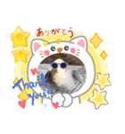 おかめインコ元気君★日常（個別スタンプ：14）