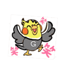 おかめインコ元気君★日常（個別スタンプ：21）
