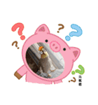 おかめインコ元気君★日常（個別スタンプ：35）