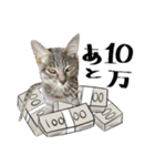 大和家特盛（個別スタンプ：32）