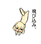ゆるだる犬【太郎】2.5（個別スタンプ：32）