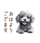 トイプードルたちの敬語スタンプ（個別スタンプ：1）