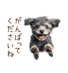 トイプードルたちの敬語スタンプ（個別スタンプ：9）