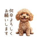 トイプードルたちの敬語スタンプ（個別スタンプ：10）