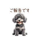 トイプードルたちの敬語スタンプ（個別スタンプ：14）