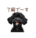 トイプードルたちの敬語スタンプ（個別スタンプ：15）