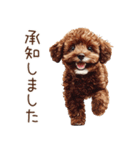 トイプードルたちの敬語スタンプ（個別スタンプ：17）