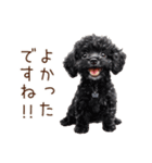 トイプードルたちの敬語スタンプ（個別スタンプ：22）