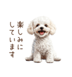 トイプードルたちの敬語スタンプ（個別スタンプ：28）