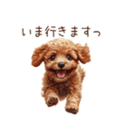 トイプードルたちの敬語スタンプ（個別スタンプ：34）