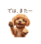 トイプードルたちの敬語スタンプ（個別スタンプ：37）