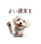 トイプードルたちの敬語スタンプ（個別スタンプ：38）