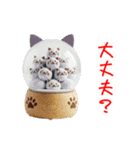 スニャーボール、ホロっと一言（個別スタンプ：5）